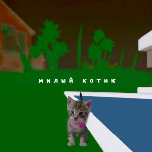 Милый Котик
