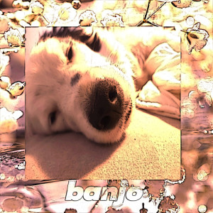 Banjo